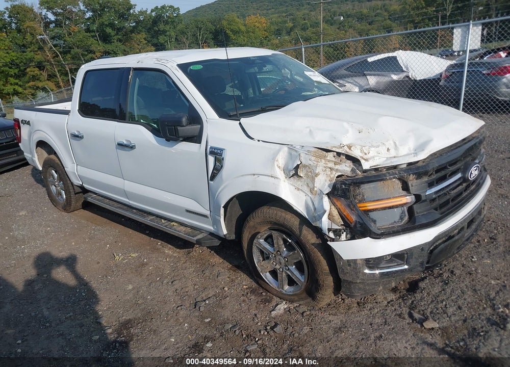 2024 FORD F-150 XLT VIN: 1FTFW3LD9RFA42170