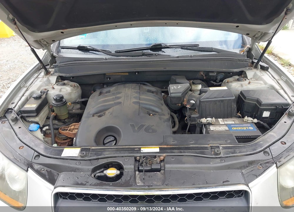 2009 HYUNDAI SANTA FE SE VIN: 5NMSH73E69H244699