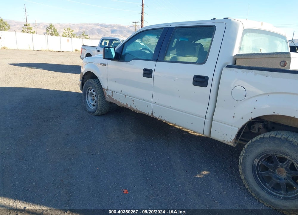 2012 FORD F-150 XL VIN: 1FTFW1EF5CFC23034