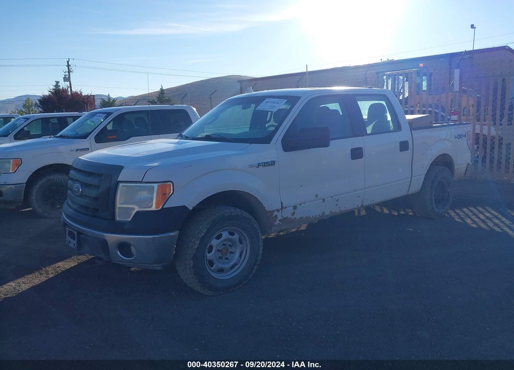2012 FORD F-150 XL VIN: 1FTFW1EF5CFC23034