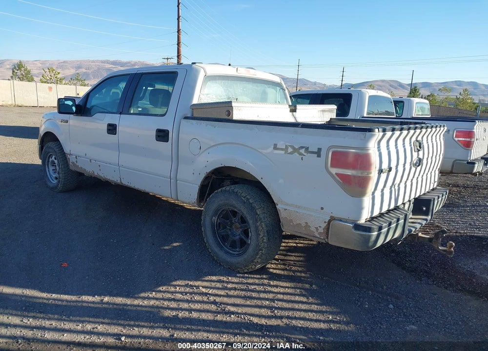 2012 FORD F-150 XL VIN: 1FTFW1EF5CFC23034