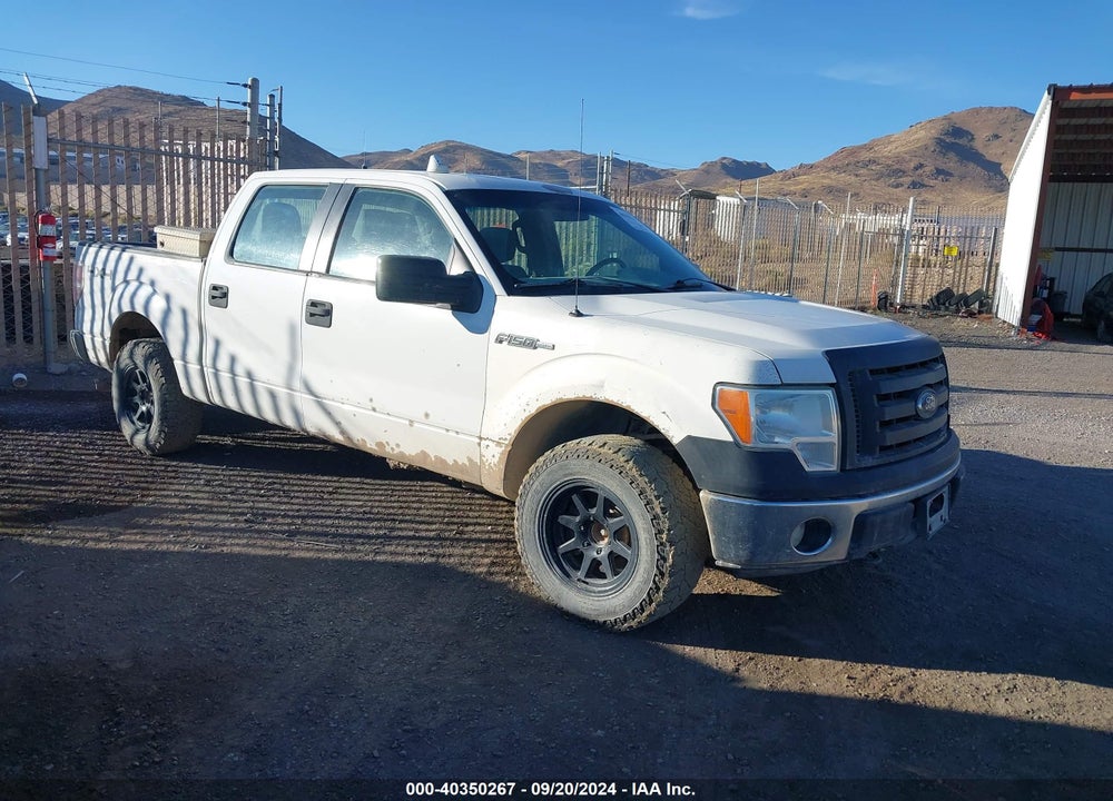 2012 FORD F-150 XL VIN: 1FTFW1EF5CFC23034