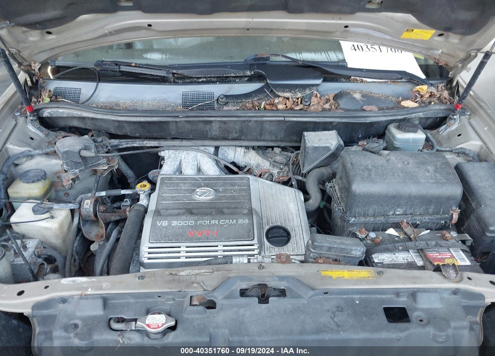 2002 LEXUS RX 300 VIN: JTJGF10U520133892
