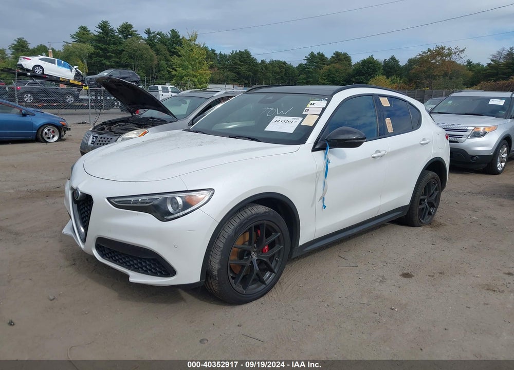 2019 ALFA ROMEO STELVIO TI SPORT AWD VIN: ZASPAKBN6K7C53664