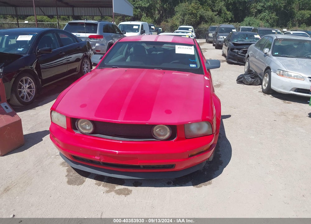 2009 FORD MUSTANG V6/V6 PREMIUM VIN: 1ZVHT80N695100234