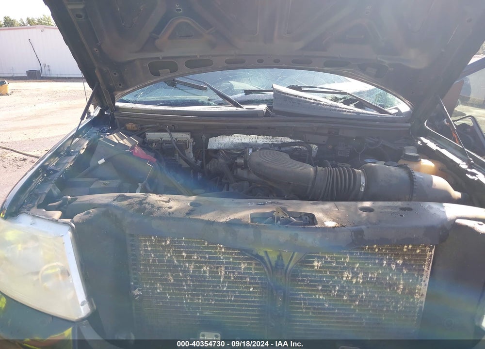 2006 FORD F-150 STX/XLT VIN: 1FTRX02W16KC30079