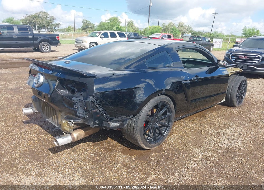 2010 FORD SHELBY GT500 VIN: 1ZVBP8JS9A5130203