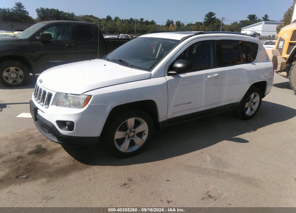 2011 JEEP COMPASS VIN: 1J4NF1FB6BD239173