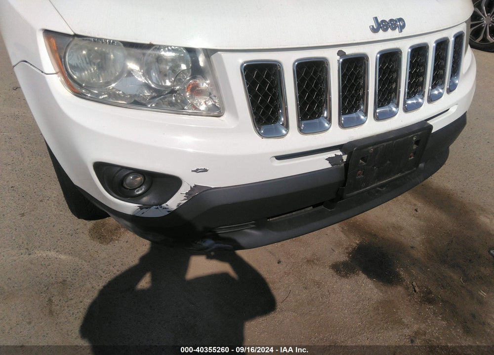 2011 JEEP COMPASS VIN: 1J4NF1FB6BD239173