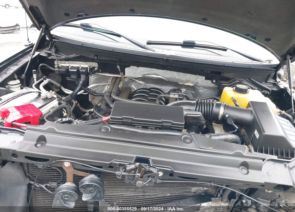 2013 FORD F-150 FX4 VIN: 1FTFW1EF3DFD42315