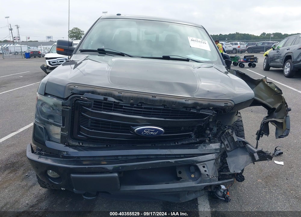 2013 FORD F-150 FX4 VIN: 1FTFW1EF3DFD42315
