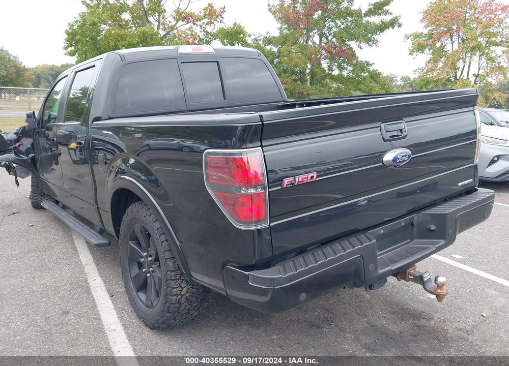 2013 FORD F-150 FX4 VIN: 1FTFW1EF3DFD42315