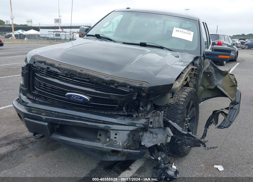 2013 FORD F-150 FX4 VIN: 1FTFW1EF3DFD42315