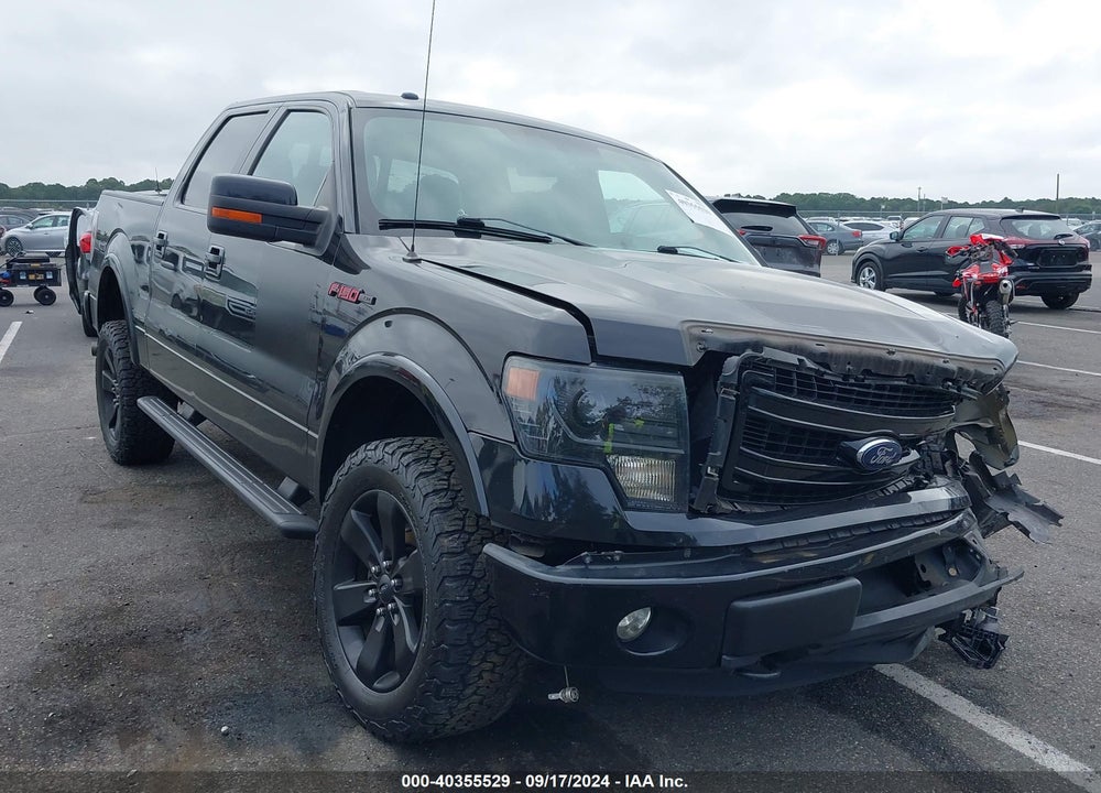 2013 FORD F-150 FX4 VIN: 1FTFW1EF3DFD42315