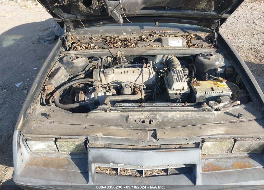 1984 DODGE DAYTONA TURBO VIN: 1B3BA64E2EG244070