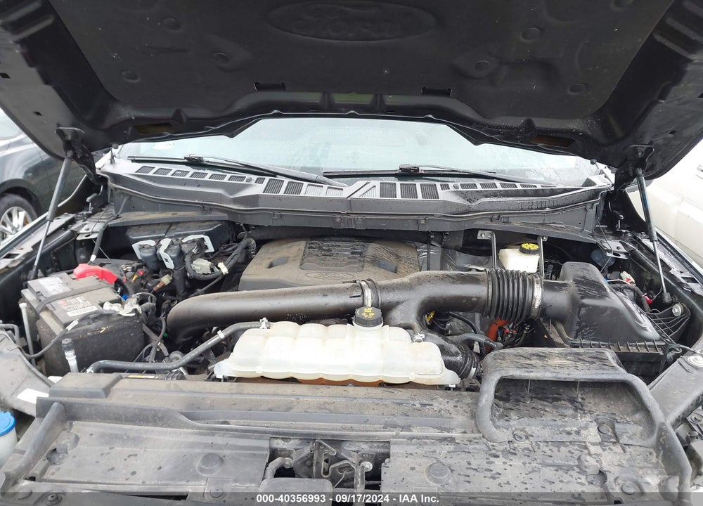 2021 FORD F-150 XLT VIN: 1FTFW1E88MKD70037