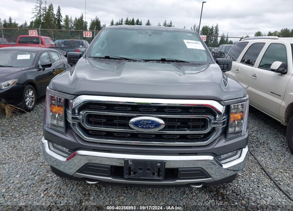 2021 FORD F-150 XLT VIN: 1FTFW1E88MKD70037