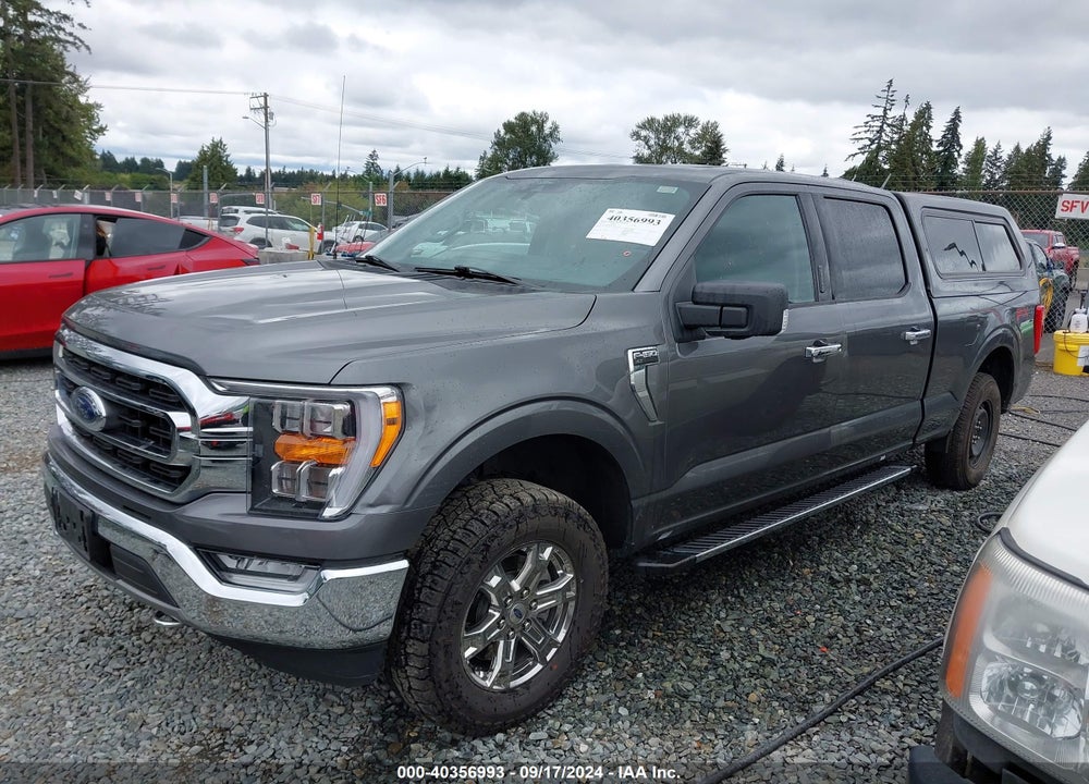 2021 FORD F-150 XLT VIN: 1FTFW1E88MKD70037