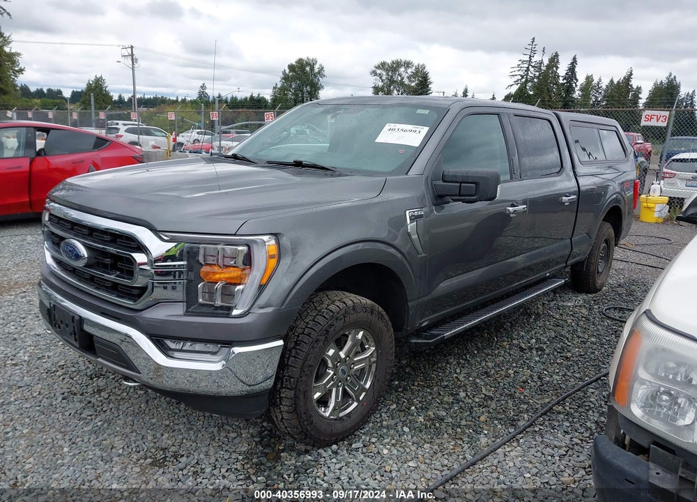 2021 FORD F-150 XLT VIN: 1FTFW1E88MKD70037