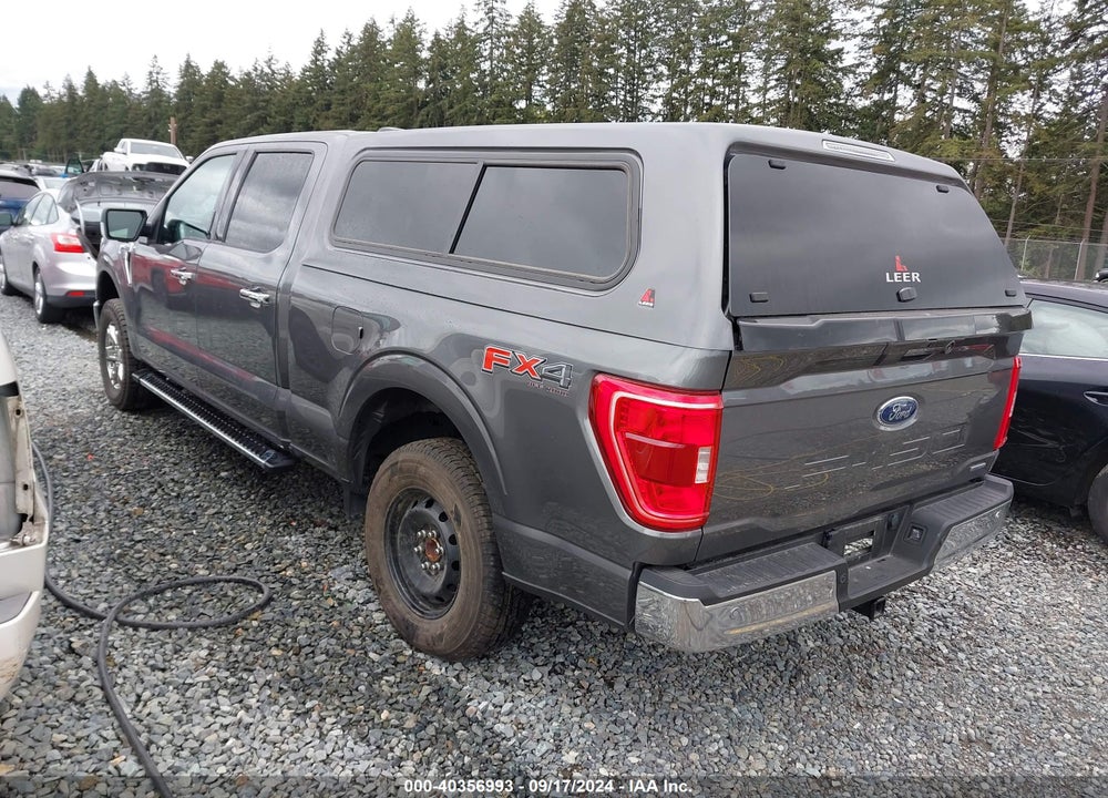 2021 FORD F-150 XLT VIN: 1FTFW1E88MKD70037
