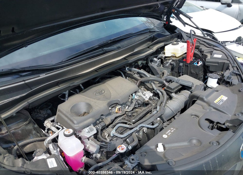 2024 TOYOTA SIENNA XLE VIN: 5TDJRKEC6RS197176