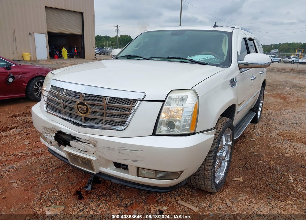 2007 CADILLAC ESCALADE STANDARD VIN: 1GYFK63807R320184