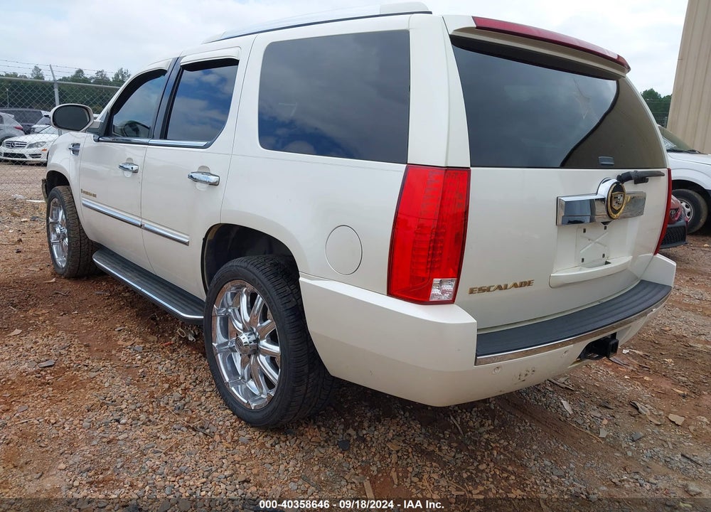 2007 CADILLAC ESCALADE STANDARD VIN: 1GYFK63807R320184
