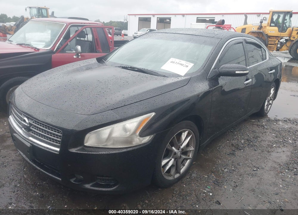 2009 NISSAN MAXIMA 3.5 SV VIN: 1N4AA51E59C852743