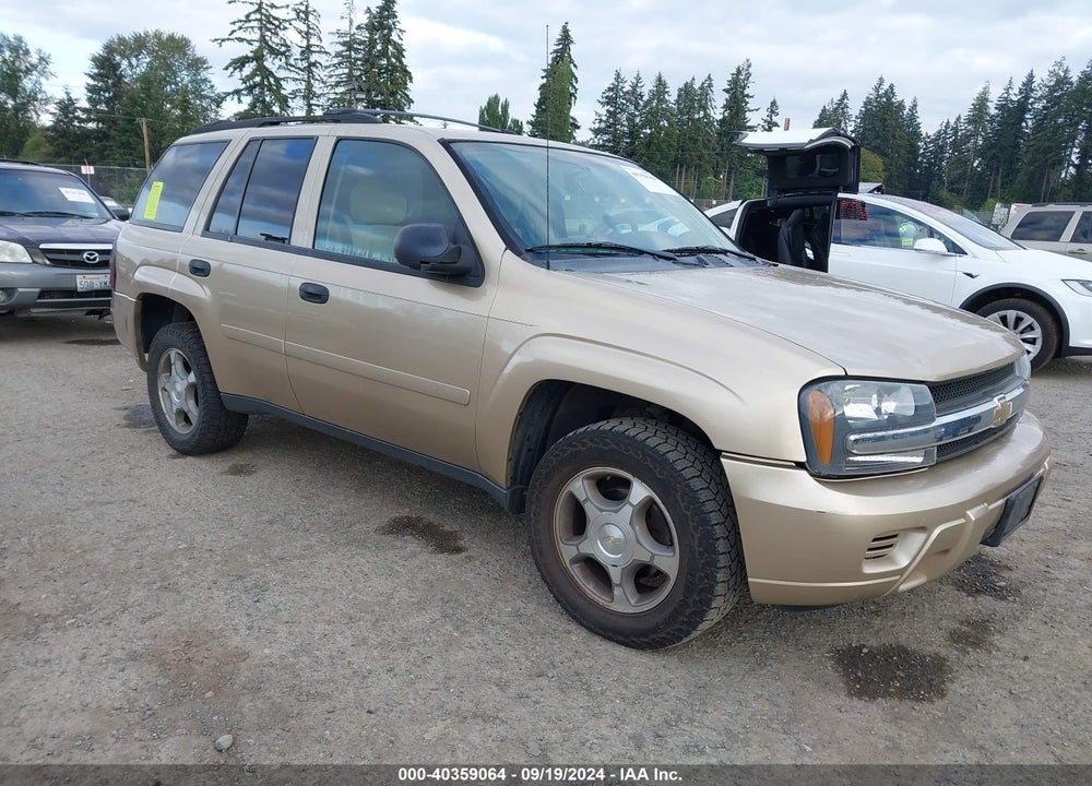2006 CHEVROLET TRAILBLAZER LS VIN: 1GNDT13S162345859