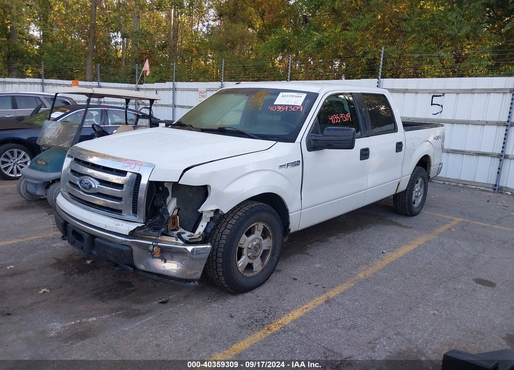 2011 FORD F-150 XLT VIN: 1FTFW1EF9BFB06460