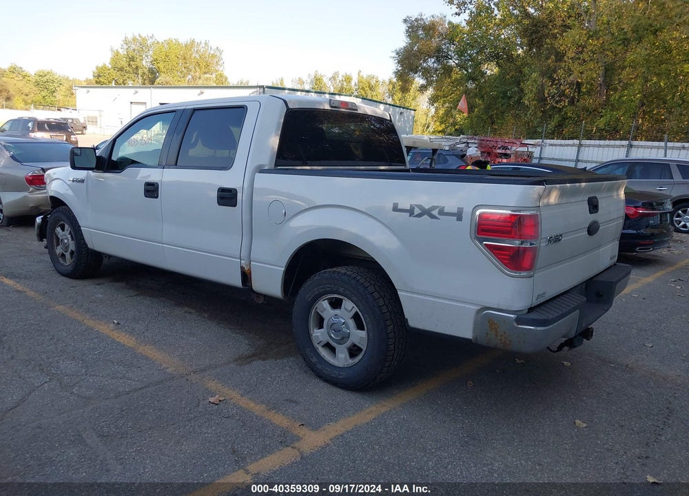 2011 FORD F-150 XLT VIN: 1FTFW1EF9BFB06460