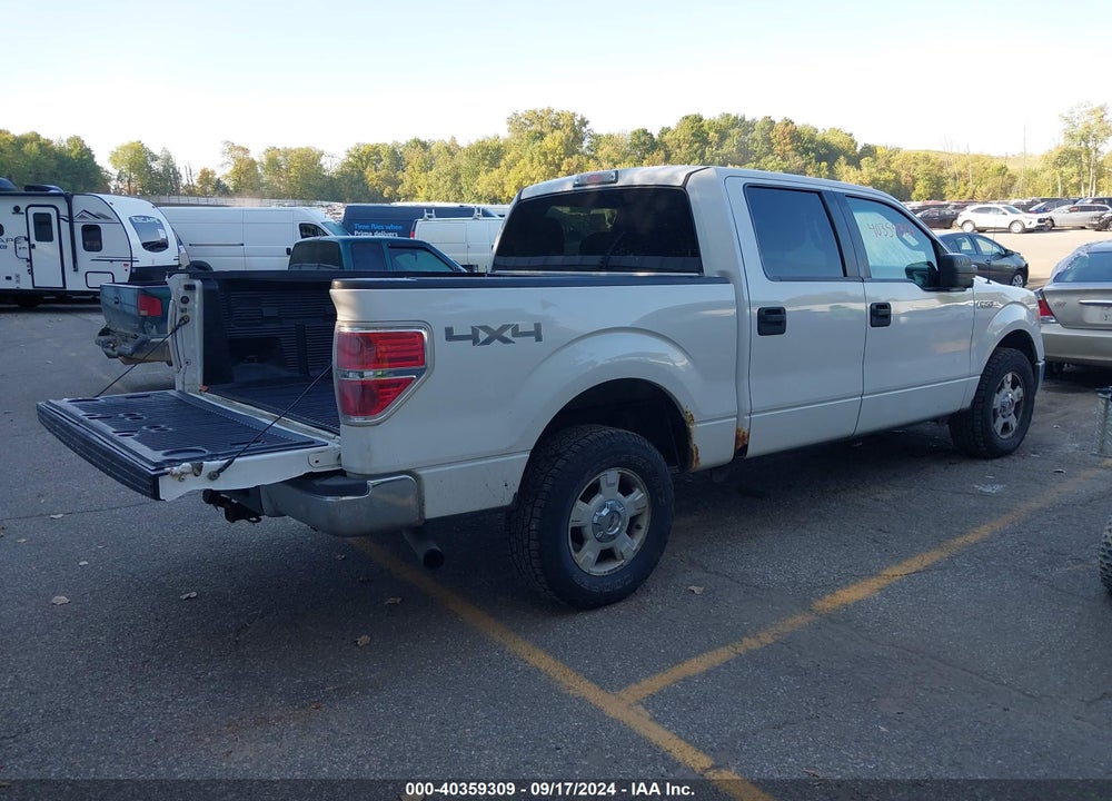 2011 FORD F-150 XLT VIN: 1FTFW1EF9BFB06460