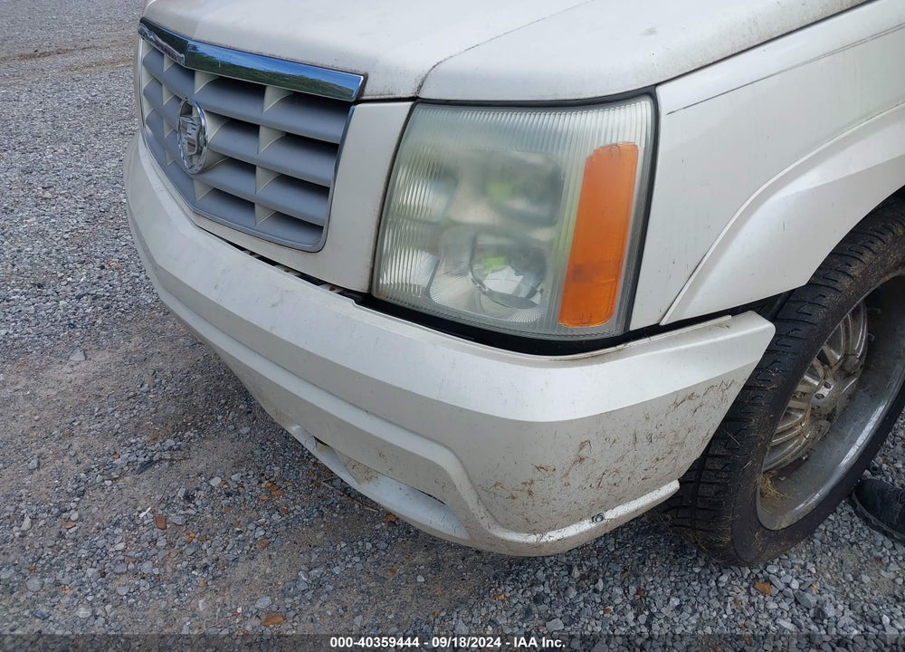 2002 CADILLAC ESCALADE STANDARD VIN: 1GYEK63N22R262279