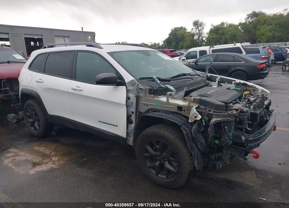 2016 JEEP CHEROKEE TRAILHAWK VIN: 1C4PJMBSXGW360451