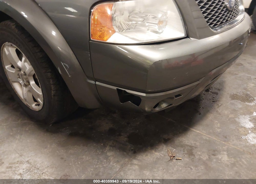2006 FORD FREESTYLE VIN: 1FMDK06186GA34761