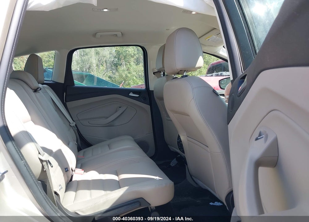 2017 FORD C-MAX VIN: 1FADP5DUXHL106608