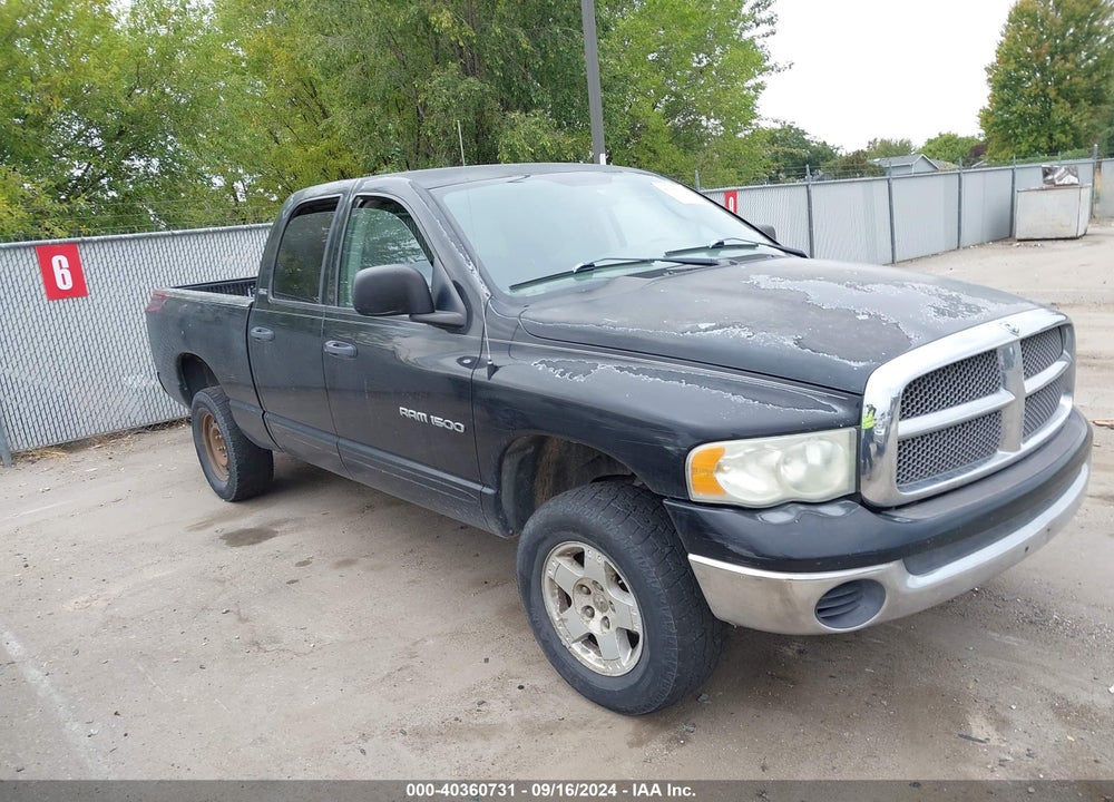 2002 DODGE RAM 1500 ST VIN: 3D7HU18N22G124739