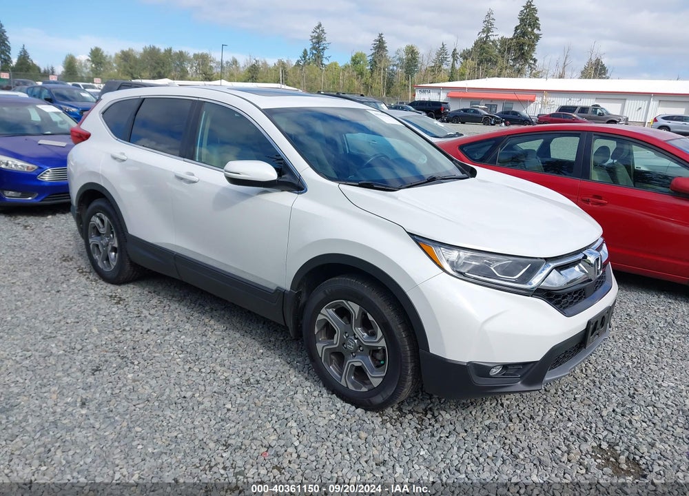 2019 HONDA CR-V EX-L VIN: 5J6RW2H85KA013782