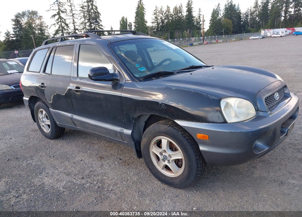 2003 HYUNDAI SANTA FE GLS/LX VIN: KM8SC73E23U509032