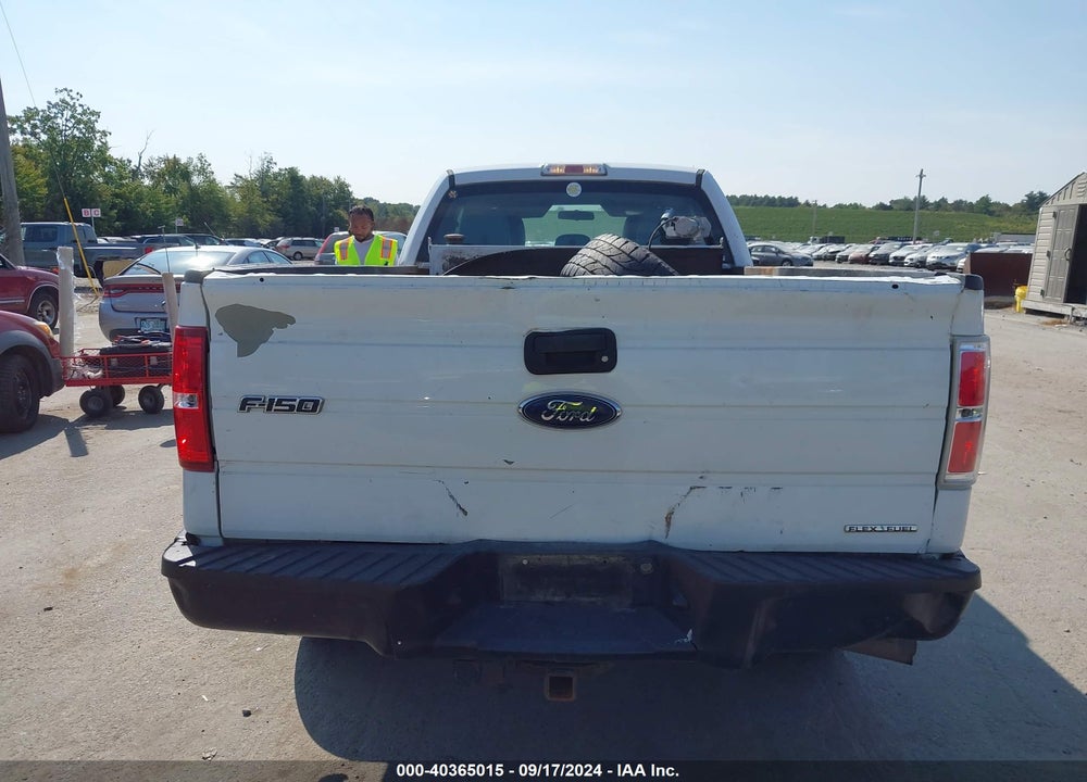 2014 FORD F-150 VIN: 1FTFX1EF4EKE45667
