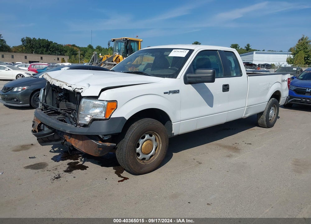 2014 FORD F-150 VIN: 1FTFX1EF4EKE45667