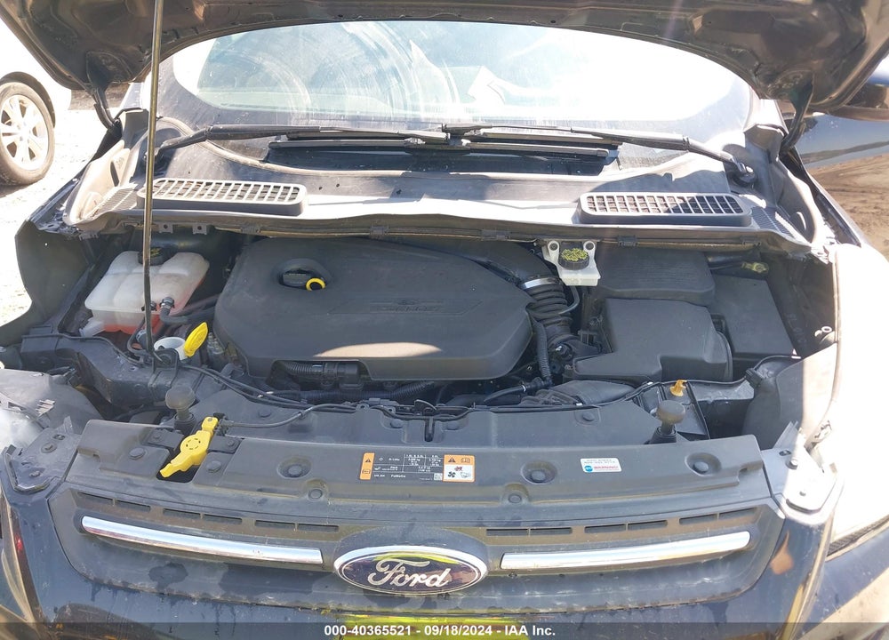 2014 FORD ESCAPE SE VIN: 1FMCU0GX8EUD31182