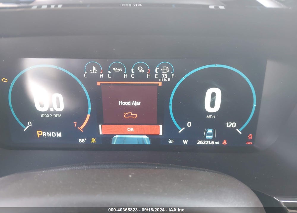 2021 FORD F-150 KING RANCH VIN: 1FTEW1C80MKE23019