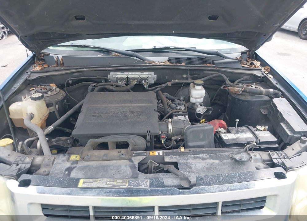 2011 FORD ESCAPE XLT VIN: 1FMCU0DG4BKA31523