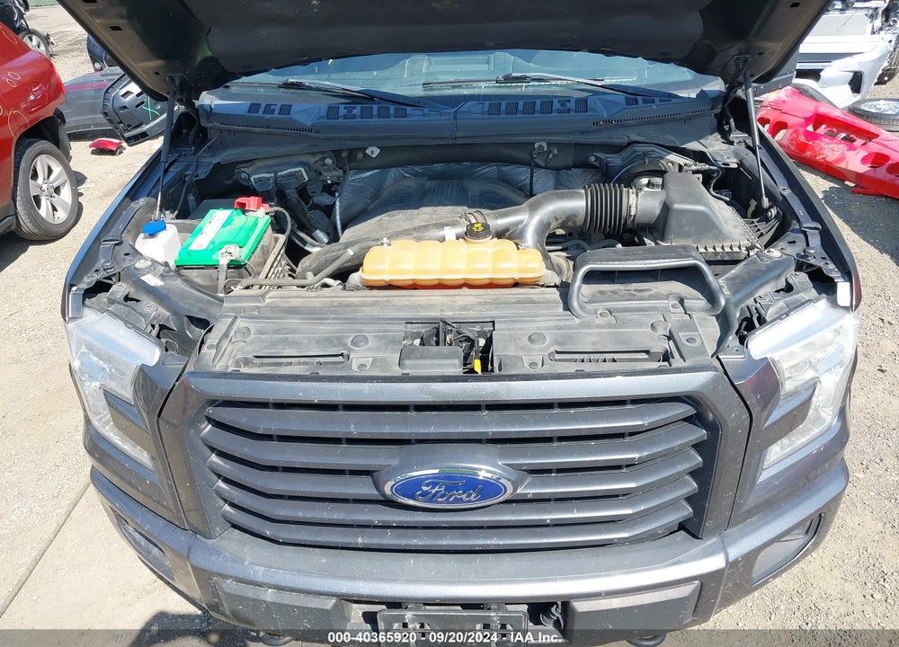 2015 FORD F-150 XLT VIN: 1FTEW1EG0FFB02162