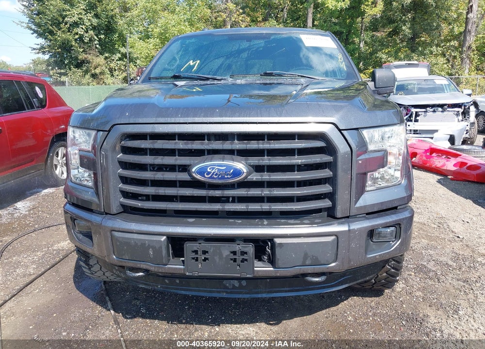 2015 FORD F-150 XLT VIN: 1FTEW1EG0FFB02162