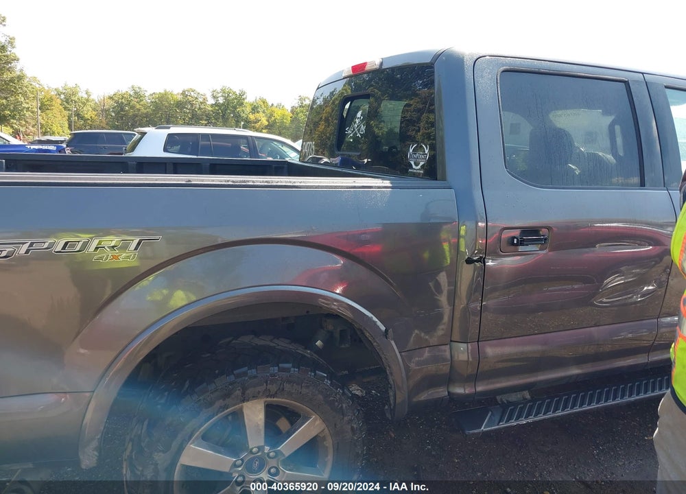 2015 FORD F-150 XLT VIN: 1FTEW1EG0FFB02162