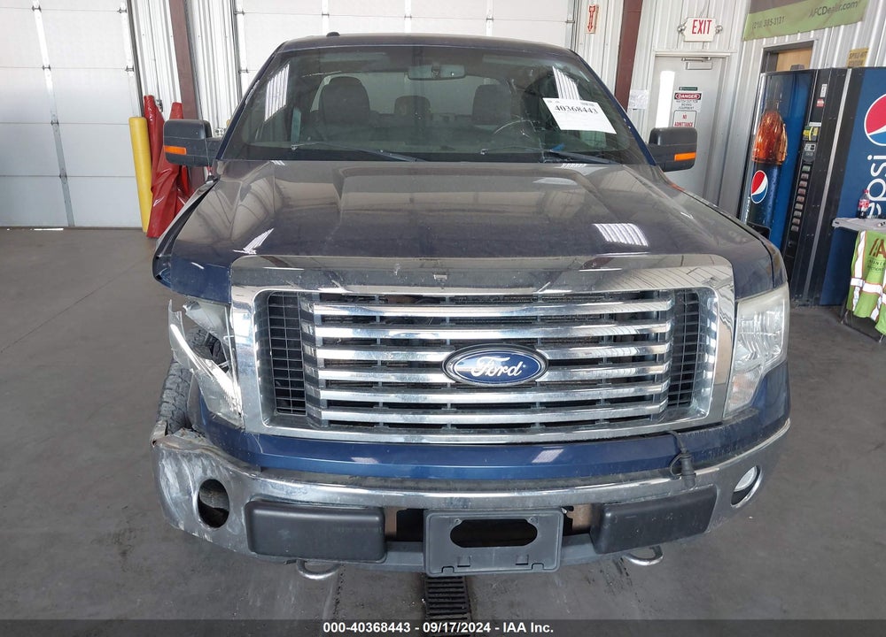 2011 FORD F-150 XLT VIN: 1FTFW1EF2BFB61848
