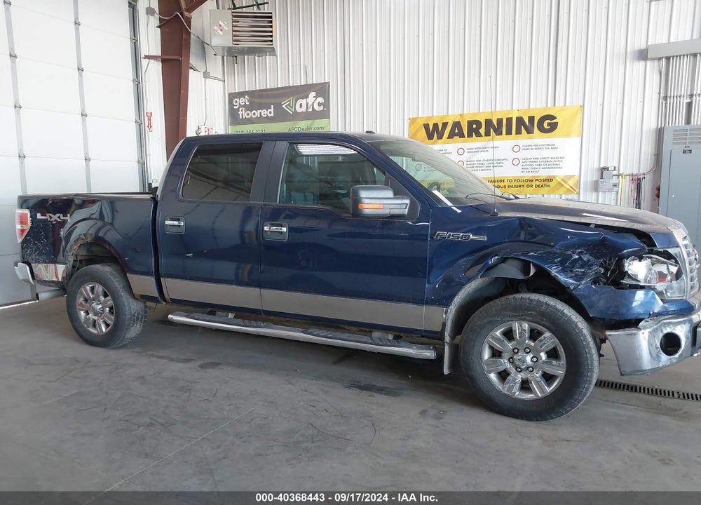 2011 FORD F-150 XLT VIN: 1FTFW1EF2BFB61848