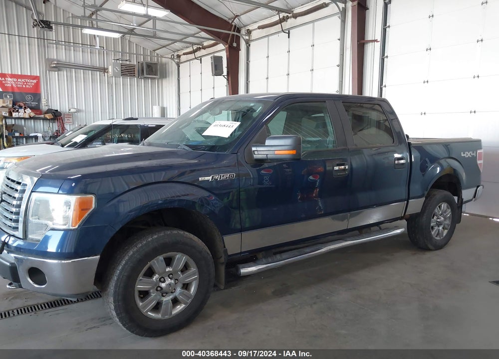2011 FORD F-150 XLT VIN: 1FTFW1EF2BFB61848